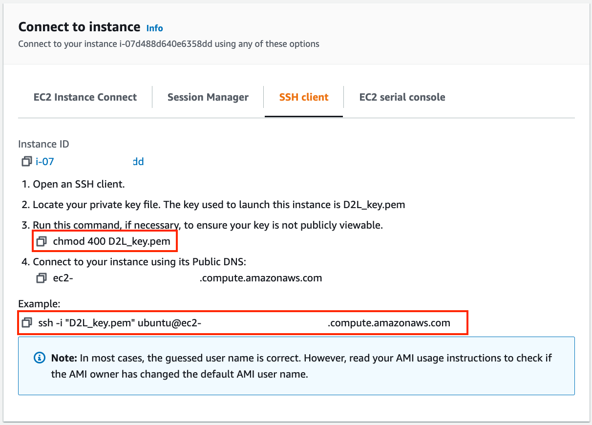 View instance access and startup method.