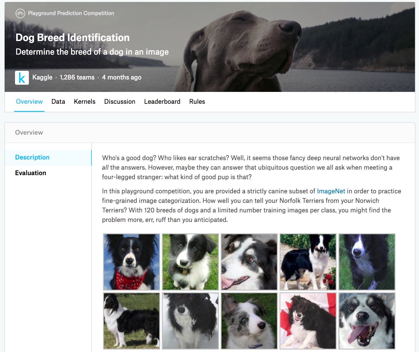 The dog breed identification competition website. The competition dataset can be obtained by clicking the "Data" tab.