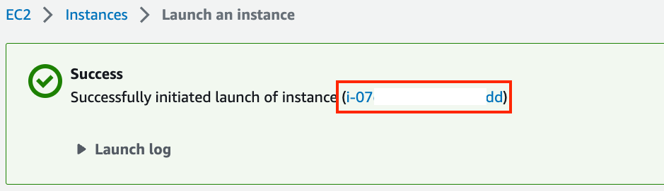 Click the instance ID.